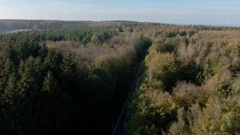 Aerial Drone View Over A Dense Forest with a Road Dividing Cutting Through It 動画素材 118484908