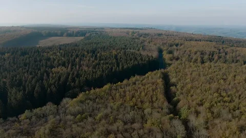 Aerial Drone View Over A Dense Forest with a Road Dividing Cutting Through It 스톡 동영상 118485710
