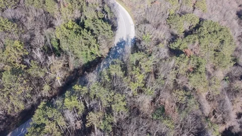 Aerial drone view over dense forest with rural road landscape Stock Footage 328006014