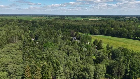 Aerial Drone View over Dense Green Forest Canopy near Bremen, Germany Stock Footage 340891266