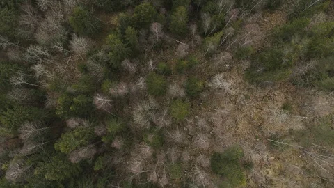 Aerial drone view over Vídeo Stock 110089748