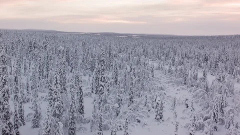 Aerial drone view over Forest in Gällivare in winter Vidéo 109434668