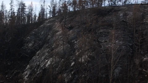 Aerial drone view over Forest fire aftermath Stock Footage 109466491
