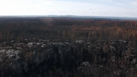 Aerial drone view over Forest fire aftermath Stock Footage 109466545