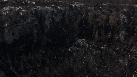 Aerial drone view over Forest fire aftermath Stock Footage 109466588