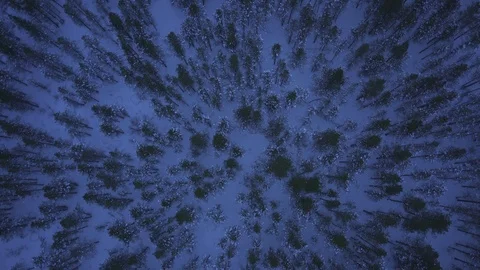 Aerial drone view over Forest Vídeo Stock 109532378