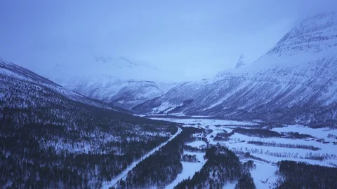 Aerial drone view over Forest in winter Vidéo 109532582