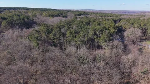 Aerial drone view over forest valley and rural countryside landscape Stock Footage 328006044