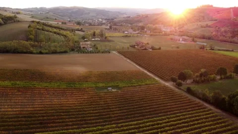 Aerial drone view over Lambrusco sparkling wine vineyards. Stock Footage 221001682