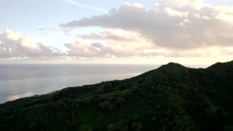 Aerial Drone view over Mountain Top in Raiatea 10Bit Stock Footage 171601470