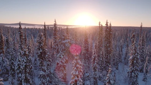 Aerial drone view over Muddus at sunset Stock-Footage 109569447
