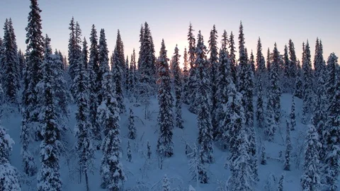 Aerial drone view over Muddus in winter at sunset Vídeo Stock 109570703