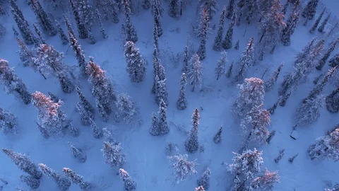 Aerial drone view over Muddus in winter at sunset Stockbeeldmateriaal 109571664