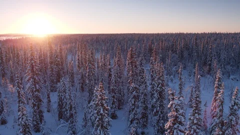 Aerial drone view over Muddus in winter at sunset 動画素材 109573722