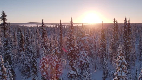 Aerial drone view over Muddus in winter at sunset Stock Footage 109574099