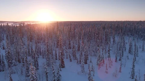 Aerial drone view over Muddus in winter at sunset Vídeo Stock 109577531