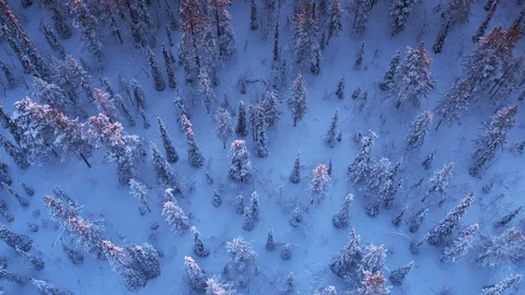 Aerial drone view over Muddus in Gällivare in winter at sunset Vídeo Stock 109579990