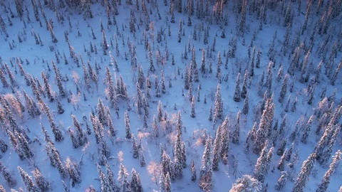 Aerial drone view over Muddus in winter at sunset Stock-Footage 109580999