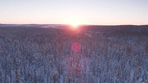 Aerial drone view over Muddus in winter at sunset Vidéo 109581935