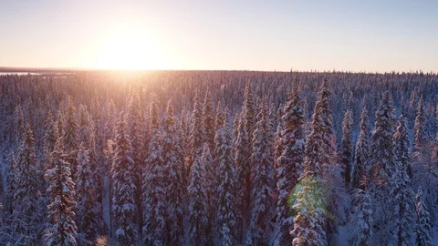 Aerial drone view over Muddus in winter at night Stock-Footage 109582488