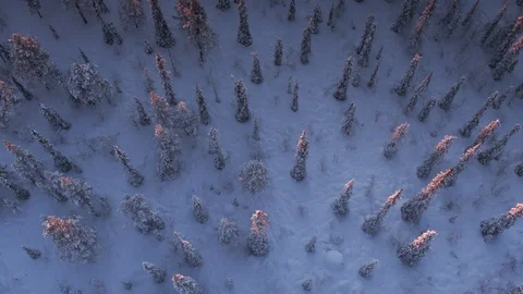 Aerial drone view over Muddus in winter at sunset Vídeo Stock 109582744