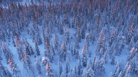 Aerial drone view over Muddus in winter at night Vídeo Stock 109583291