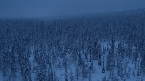 Aerial drone view over Muddus in winter at night Vídeo Stock 109583661