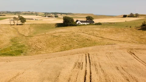 Aerial drone view over Österlen Vidéo 109440892