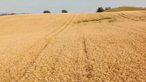 Aerial drone view over Österlen Vidéo 109444963