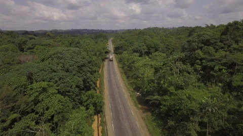 Aerial Drone View Over A Road, In The Jungle, On A Sunny Day Stock Footage 255719323