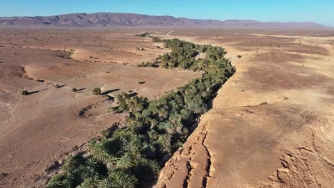 Aerial Drone View Over Rocky Ridge Revealing Green Palm Oasis Valley Morocco Stock Footage 335035230