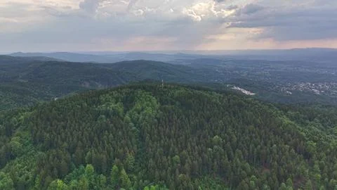 Aerial drone view over rolling dense forest hills with conifer canopy, scat.. Stock Photos