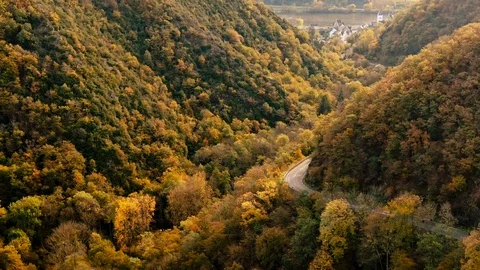 Aerial Drone View over a serpent road street in a dense Forest Nature in Autumn 스톡 동영상 122392685