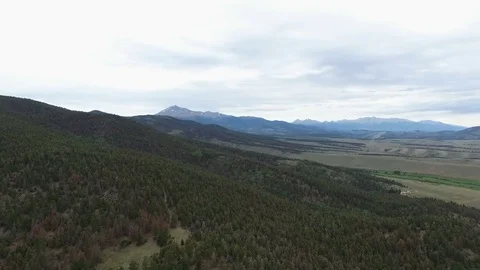 Aerial drone view over thick mountain side forest Stock Footage 80357949