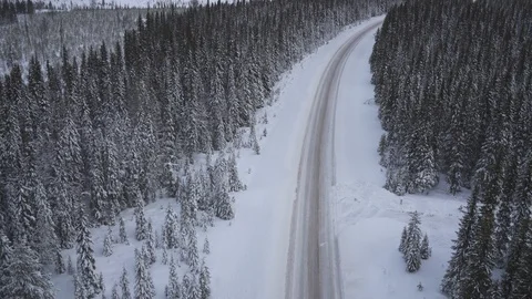 Aerial drone view over Timber truck in winter Vidéo 109531897