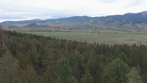 Aerial drone view over tree top forest Video stock 80357953