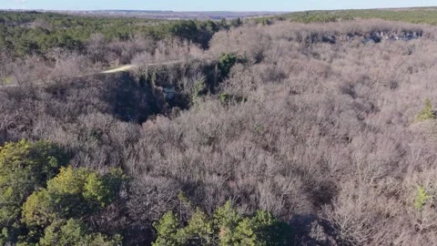 Aerial drone view over winding road through dense forest landscape Stock Footage 328006090