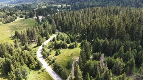 Aerial Drone View over Winding Road in Mountain Pine Forest Vídeos de archivo 342403877