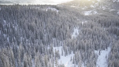 Aerial drone view over Winter forest in winter at sunset Vídeo Stock 109533474