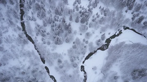 Aerial drone view over Winter forest in winter Vídeo Stock 109534070