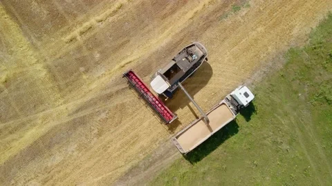 Aerial drone view. Overloading grain from combine harvesters into grain truck in Stock Footage 159017023