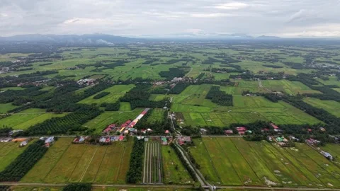 Aerial drone view of paddy fields in nibong tebal penang 動画素材 329240157