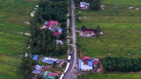 Aerial drone view of paddy fields in Nibong Tebal Penang Видео 332200635