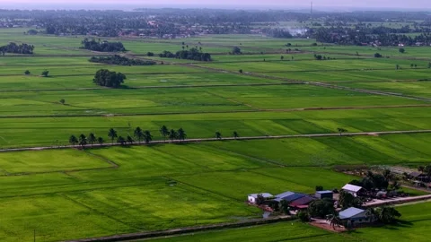Aerial drone view of paddy fields at Penaga 스톡 동영상 337721933