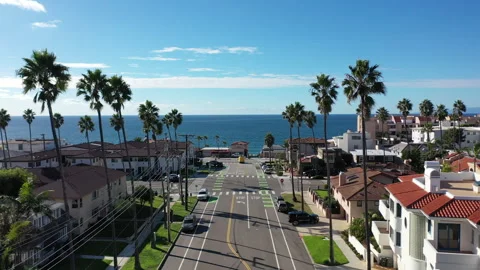 Aerial drone view of a Palm Tree lined street leading to the ocean Stock Footage 321443302