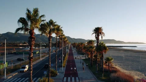 Aerial drone view of a palm tree promenade by the beach Video stock 344529196
