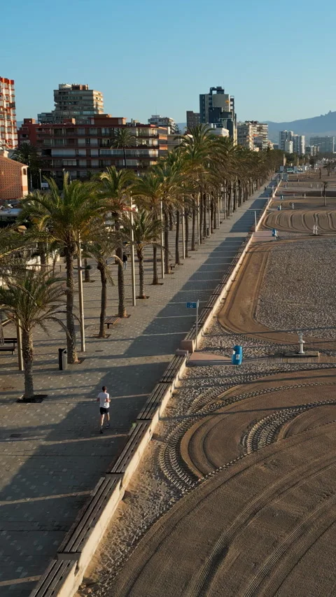 Aerial drone view of palm trees on a promenade near the beach and buildings Stock Footage 315377645