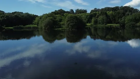 Aerial Drone View - Pan Left - Urban Park with Green Vegetation and Trees and Video stock 153167732