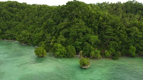 Aerial drone view of Panaraga Beach tropical coastline and jungle in Mindana Vídeo Stock 341517481