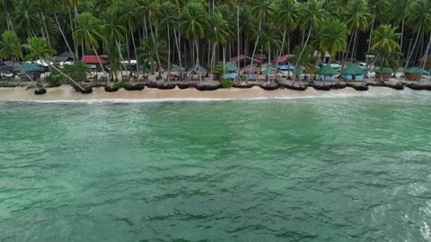 Aerial drone view of Panaraga Beach tropical coastline and jungle in Mindana Stock Footage 341517587
